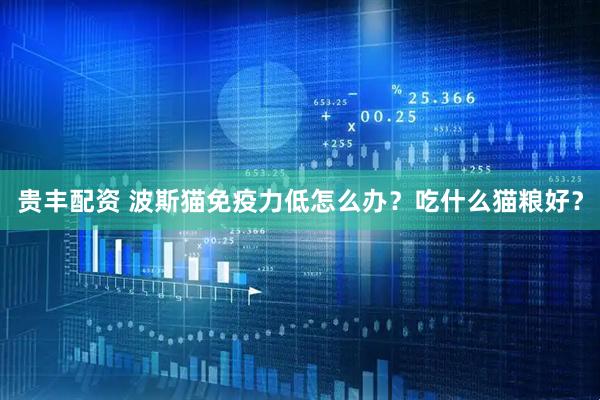 贵丰配资 波斯猫免疫力低怎么办？吃什么猫粮好？